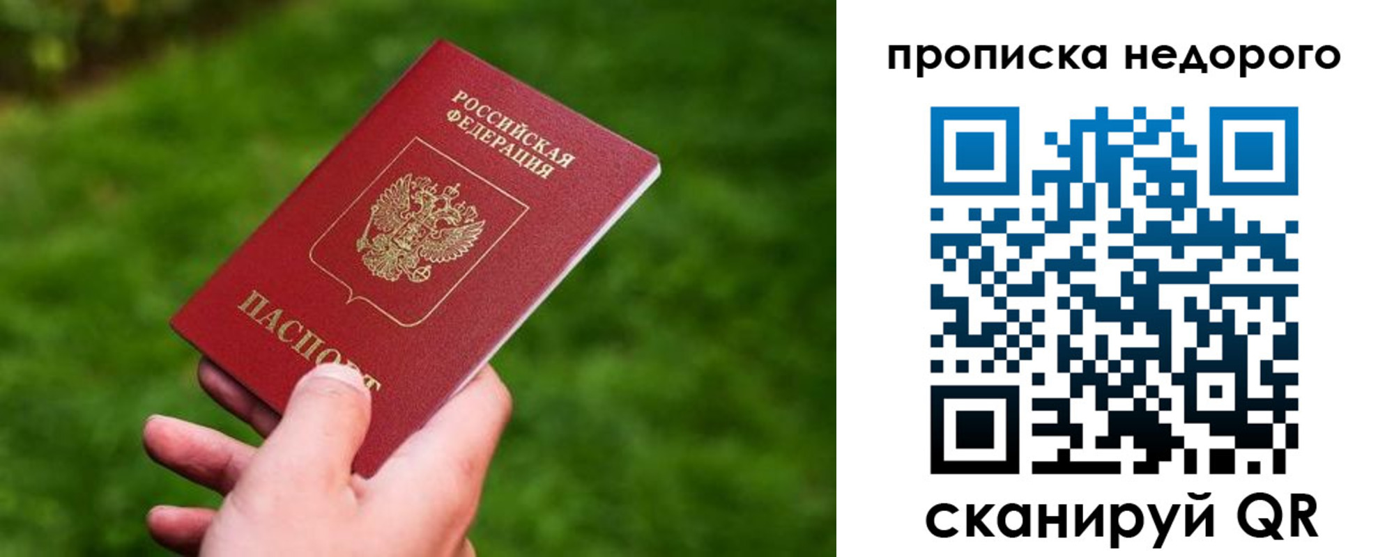 временная регистрация законно в Светлом
